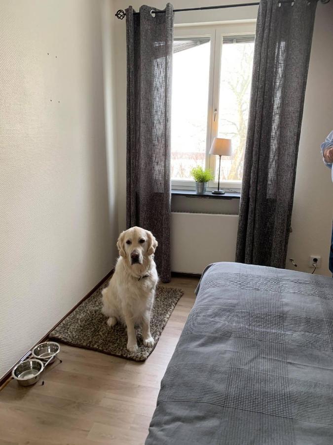 Bralanda Hotell Och Vandrarhem Extérieur photo